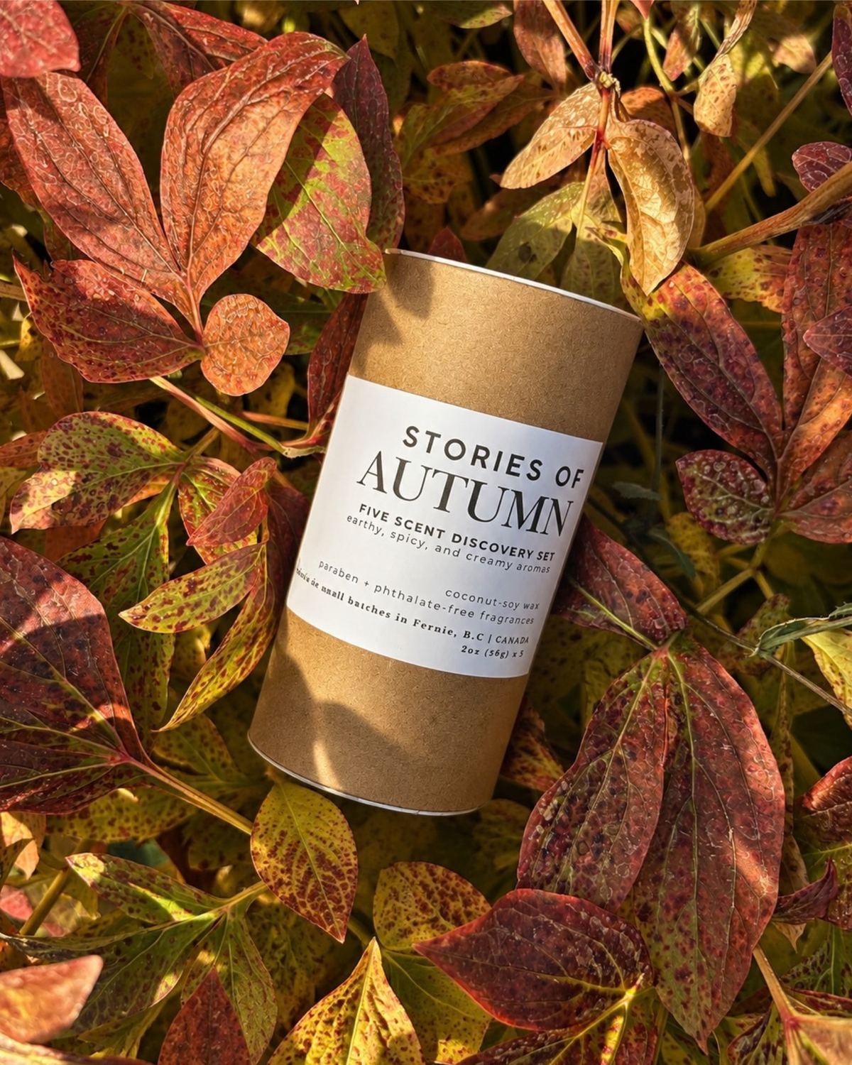 Stories of Autumn