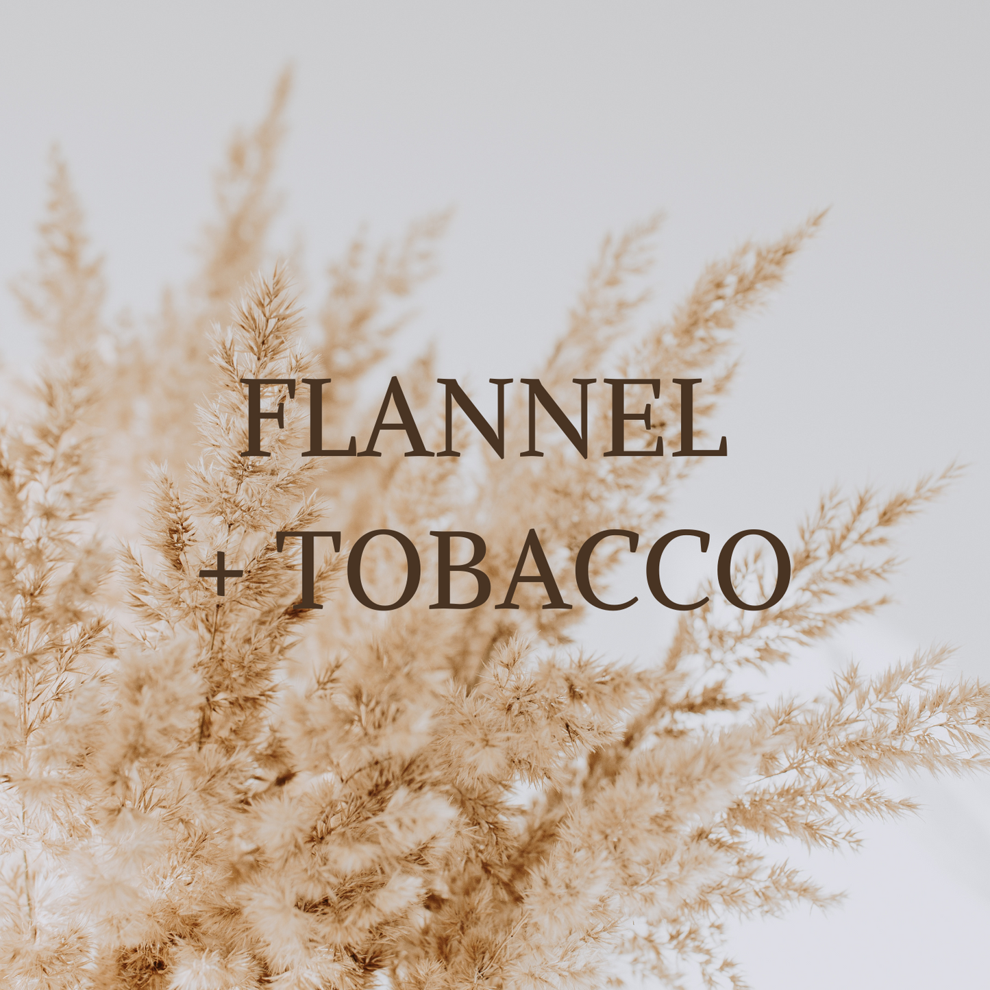 Flannel + Tobacco